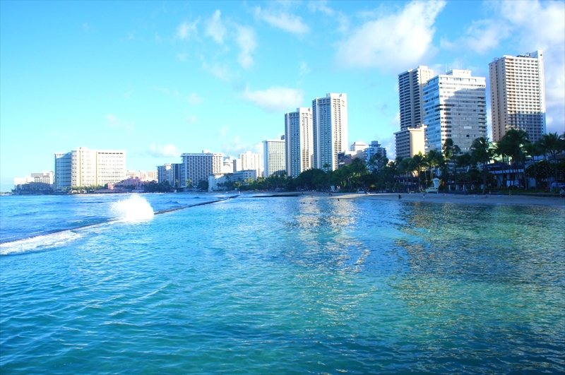 DSC00339_R