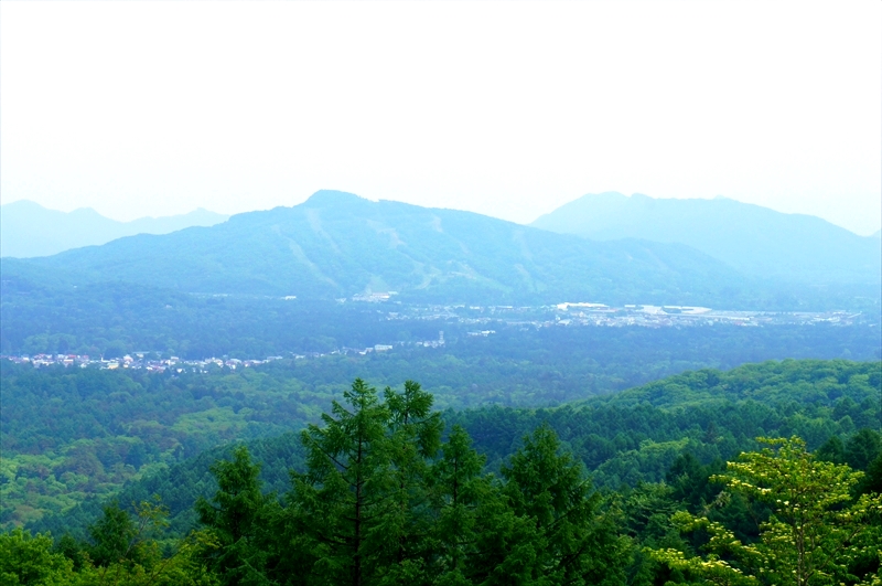 DSC02553_R
