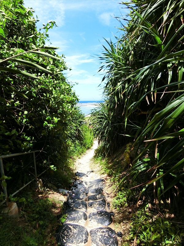 CIMG3658_R