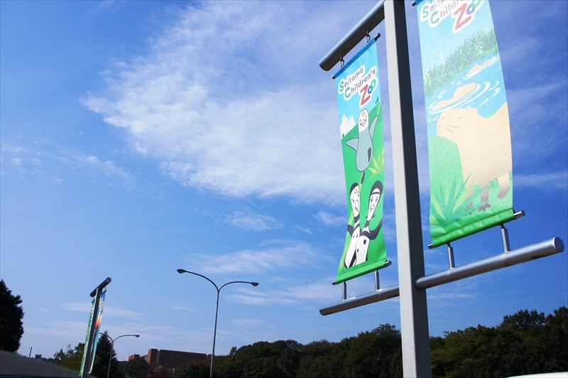 DSC01146_R