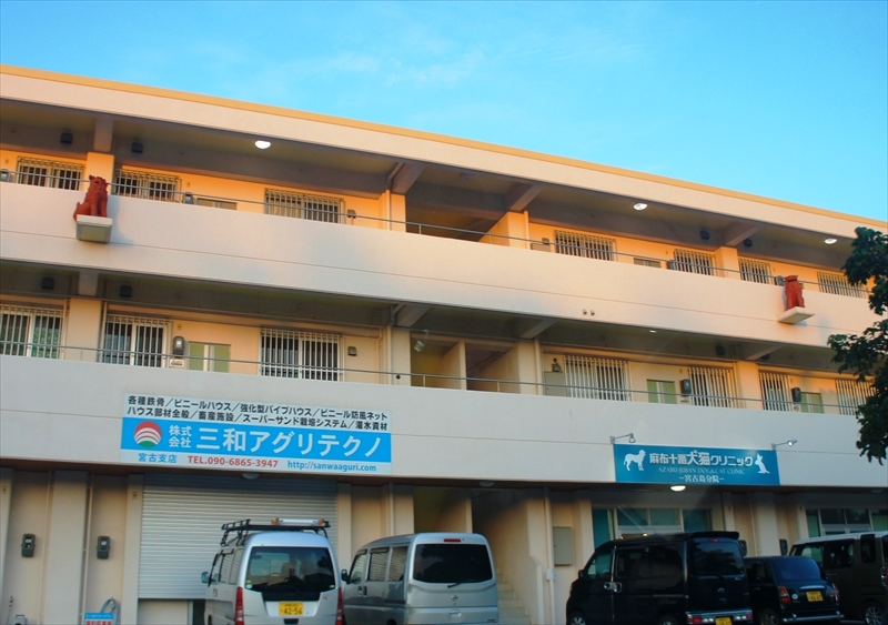 DSC01453_R