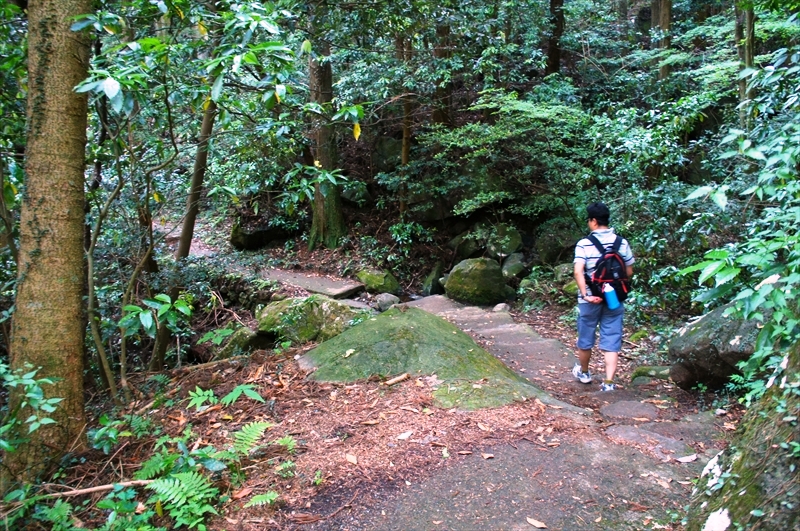 DSC04416_R