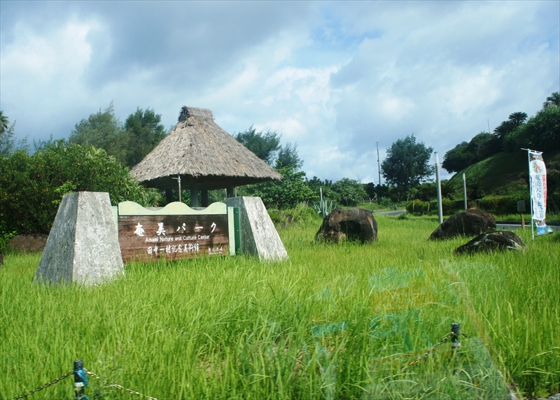 DSC00875_R