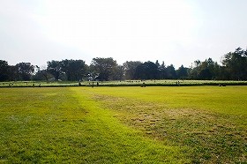 原っぱ西花畑