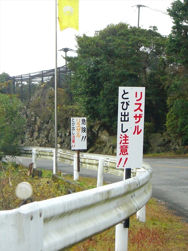 CIMG1688_R