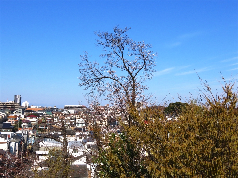 IMG_1377_R