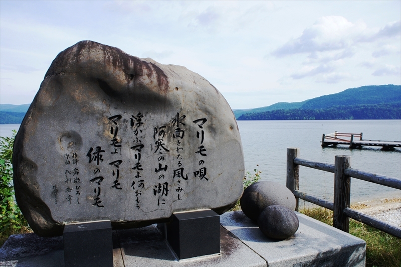 DSC00264_R
