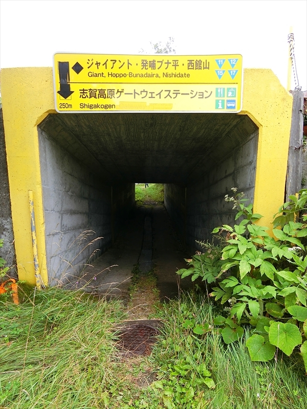 CIMG3240_R