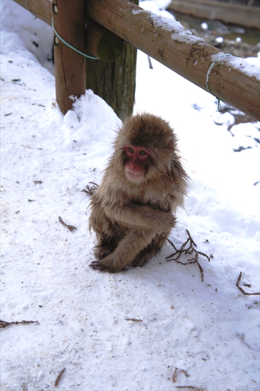 DSC02002_R