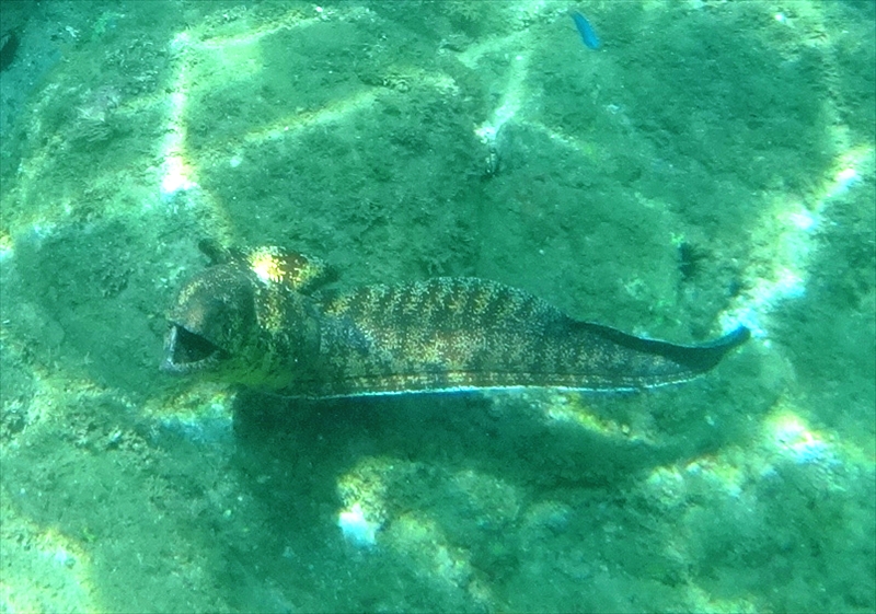 DSC04430_R
