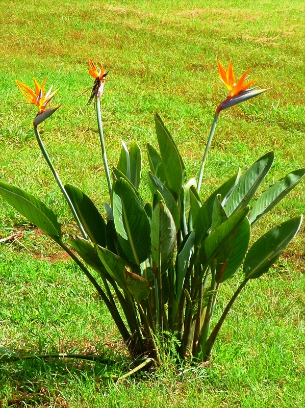 P1090097_R