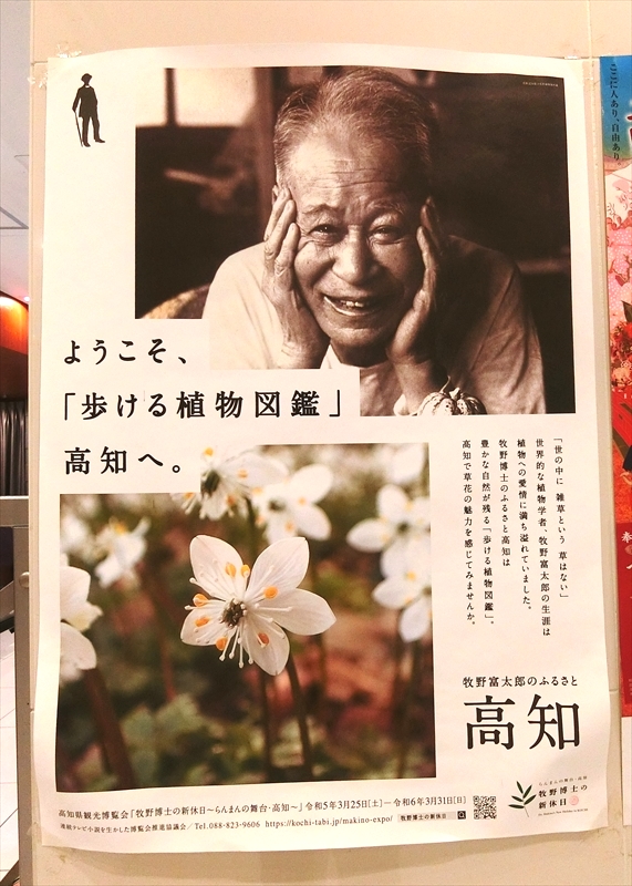 CIMG5587_R