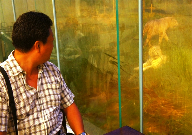 DSC02497_R