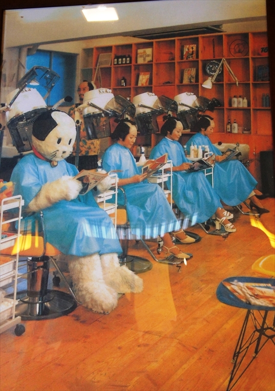 DSC01827_R