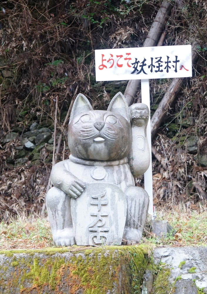 DSC01122_R