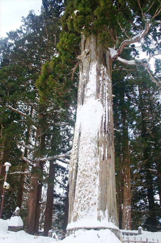 DSC00148_R