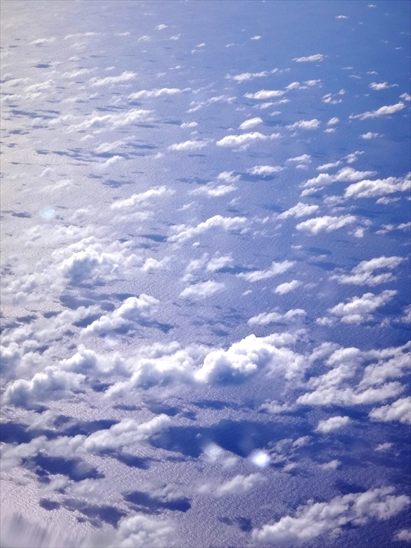 DSC07683_R