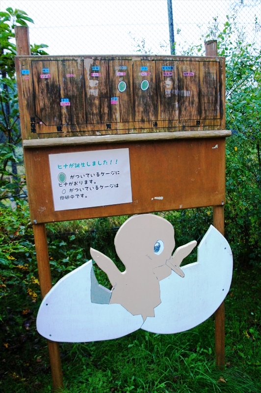 DSC00648_R