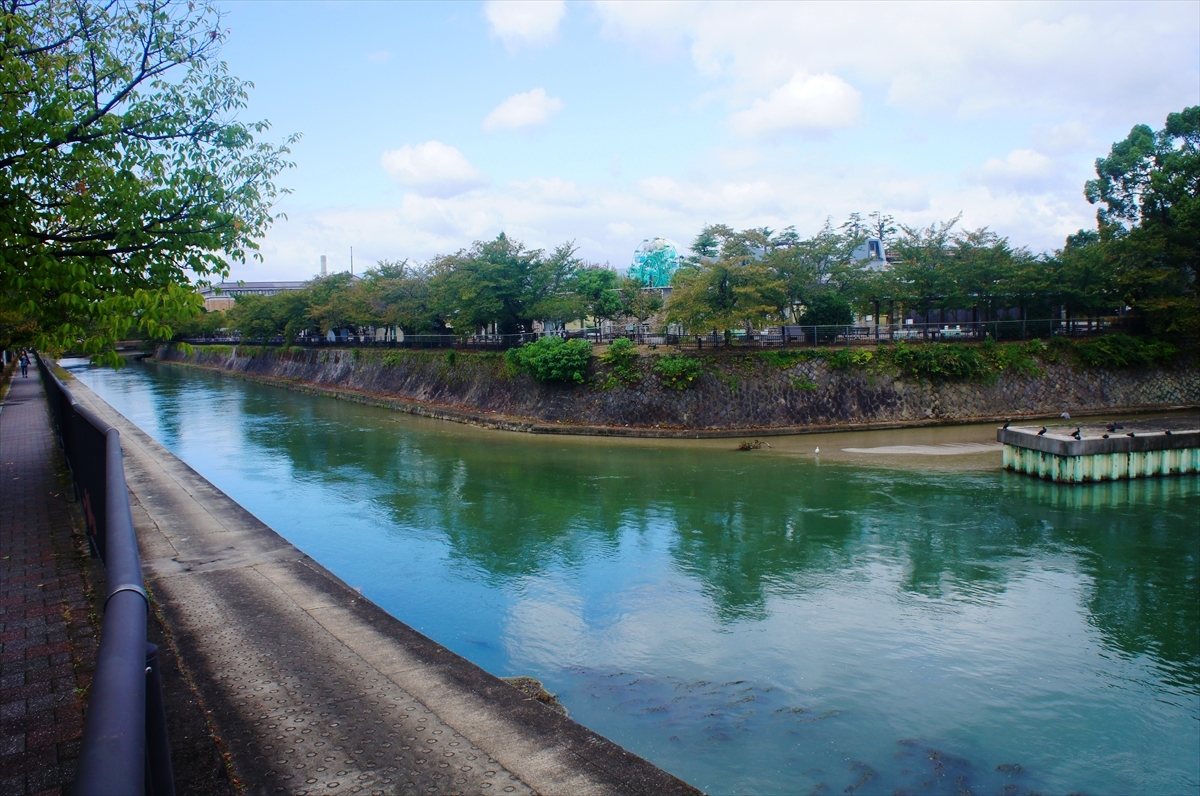 DSC00125_R