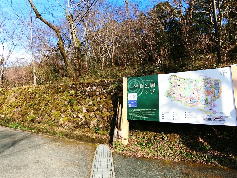 CIMG6006_R