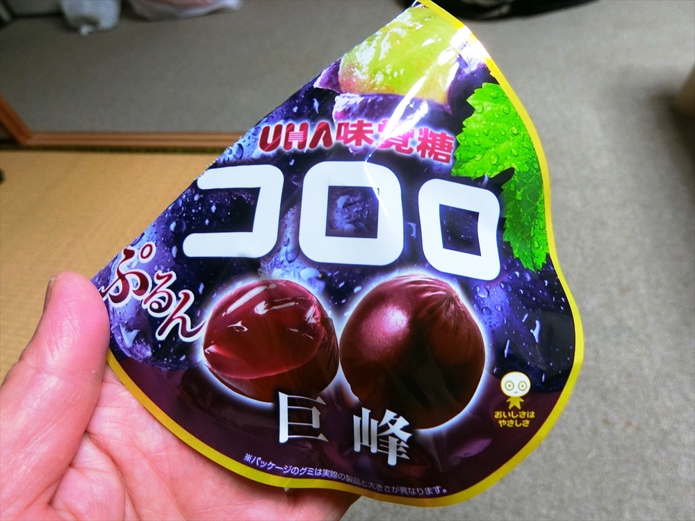 CIMG2104_R