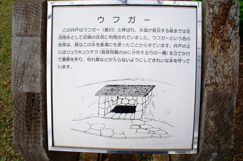 DSC02534_R