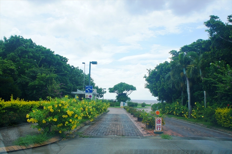 DSC00088_R