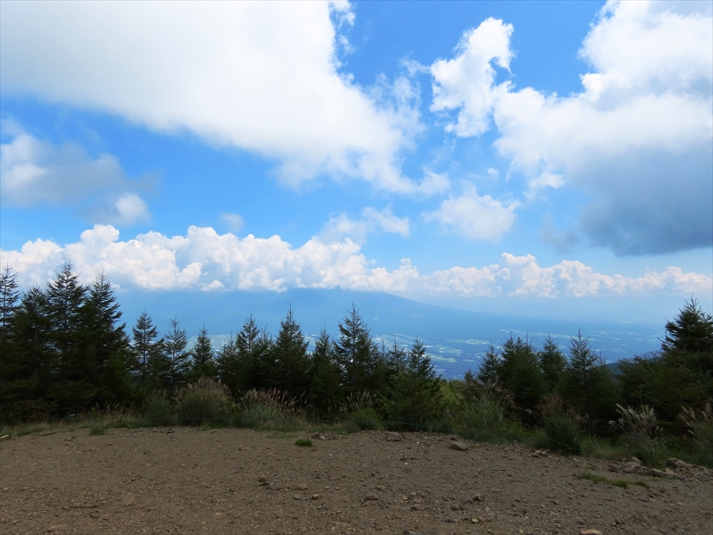IMG_6604_R