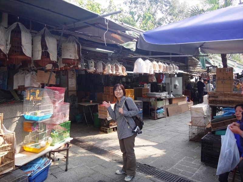 DSC04806_R