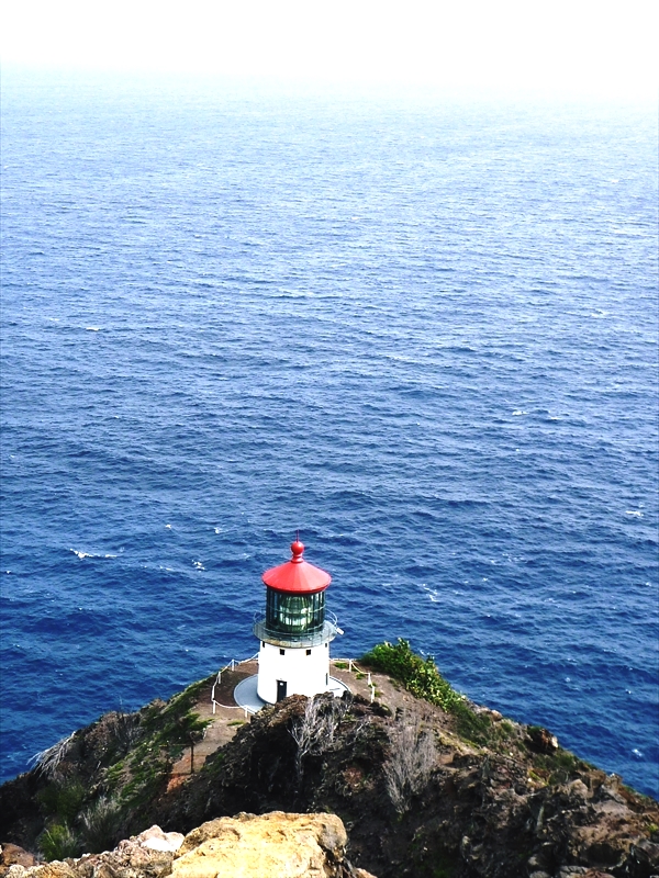 P1090632_R