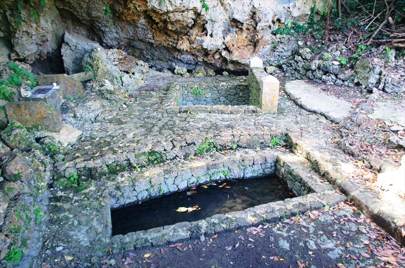 DSC00913_R
