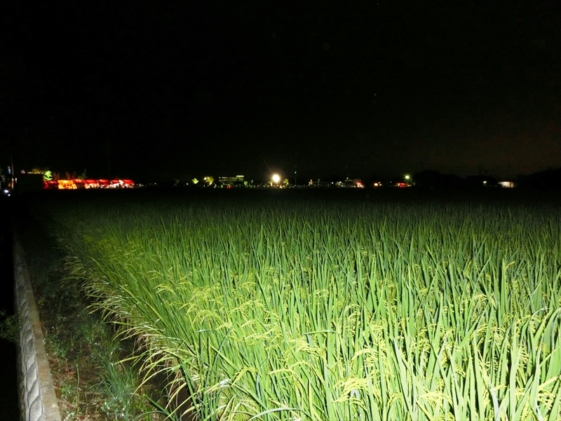 CIMG8801_R