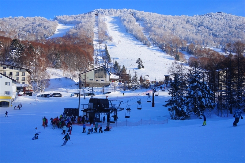 DSC00453_R