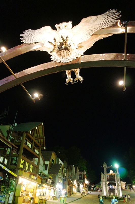 DSC00088_R
