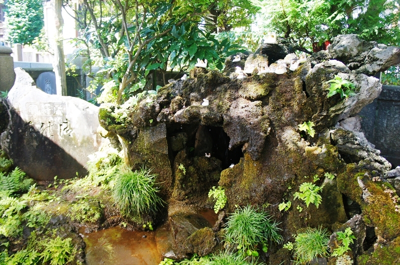 DSC00055_R