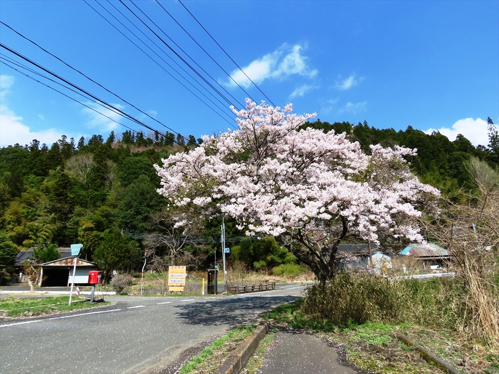 IMG_3333_R