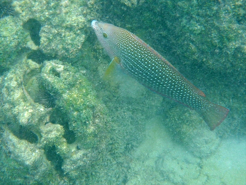 P1020113_R