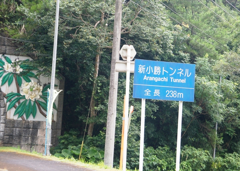 DSC00364_R