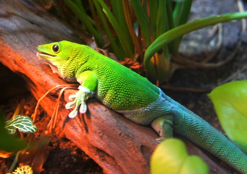 DSC01403_R