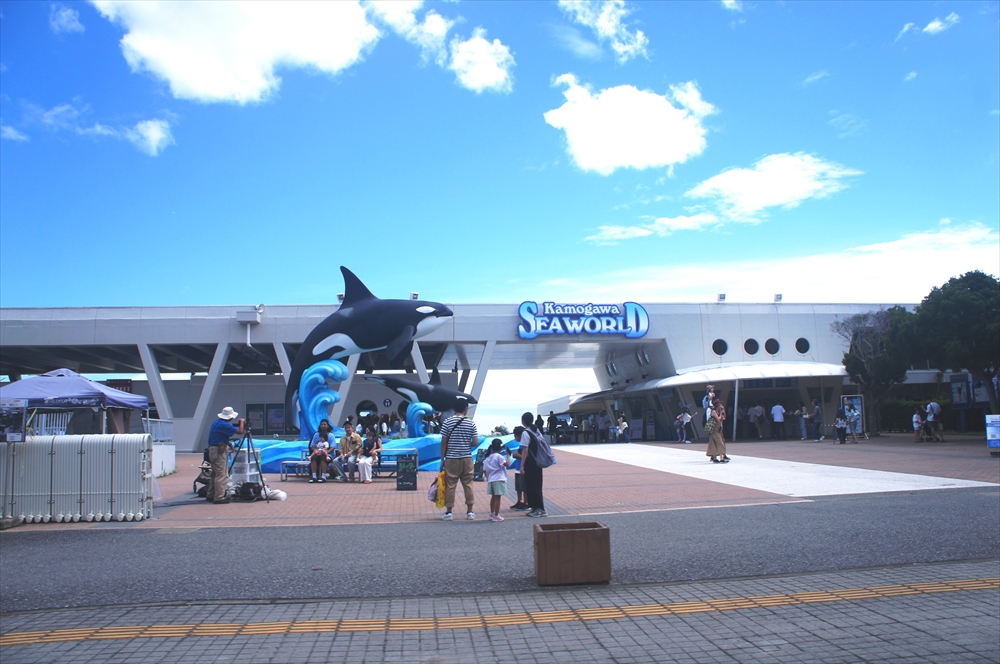 DSC01509_R