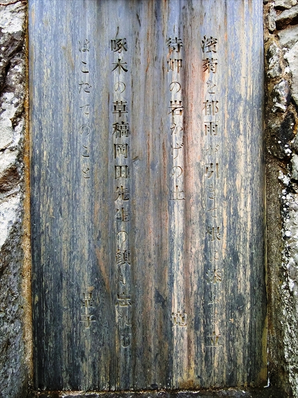 CIMG1549_R