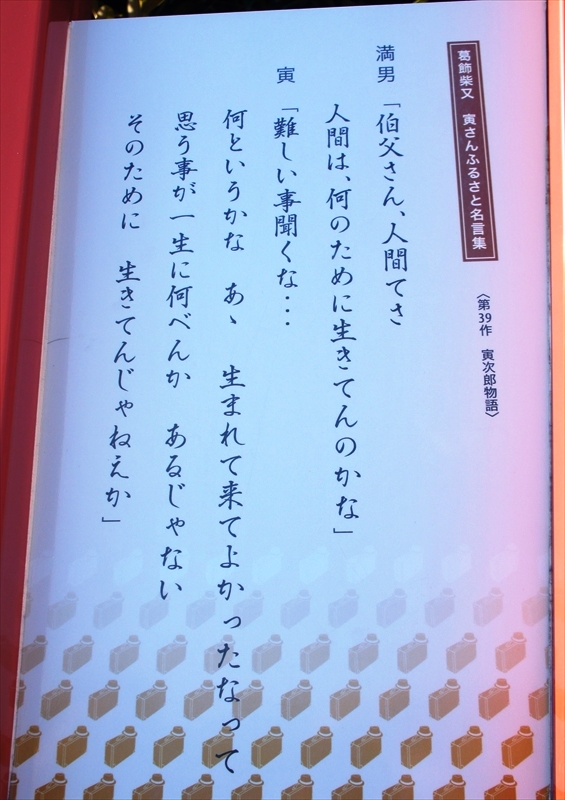 DSC00254_R