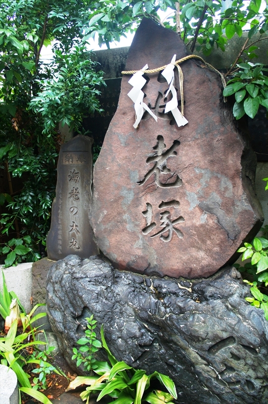 DSC00578_R