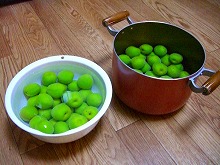 ����ȴ��