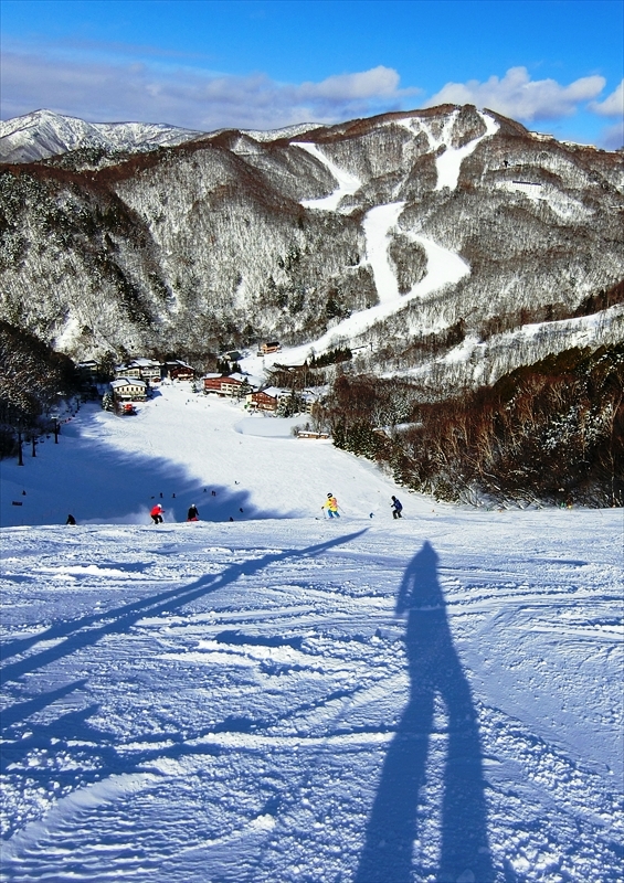 CIMG2029_R