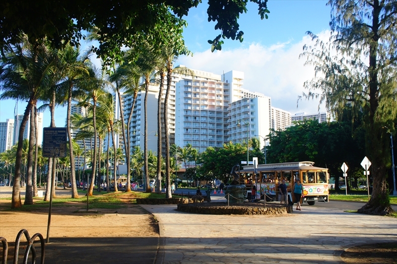 DSC00336_R