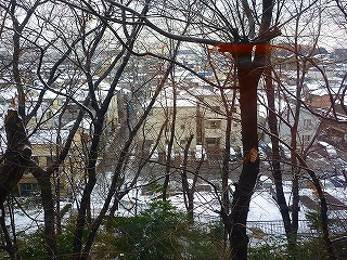 雪景色