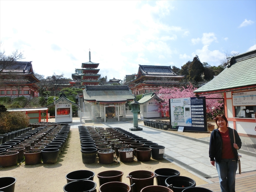 CIMG8974_R