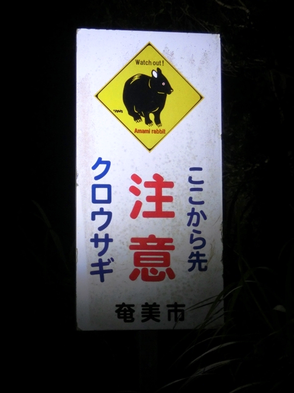 CIMG9022_R