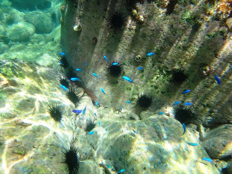 DSC07039_R